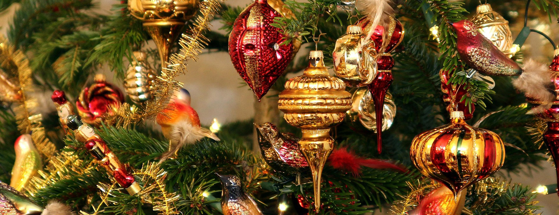 Christmas Tree World 2 Christmas Tree World -Christmas Tree World christmas tree 565356 1920