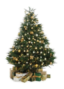 The 4ft Snowy Scots Pine Tree 21 The 4ft Snowy Scots Pine Tree -Christmas Tree World scotch pine wb 2